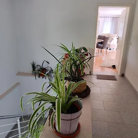 Zur Alten Post דירה