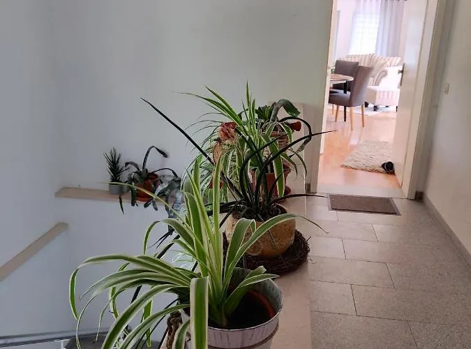 Zur Alten Post Apartamento